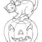 Raskrasil.com-Coloring-Pages-Halloween-Cat-103
