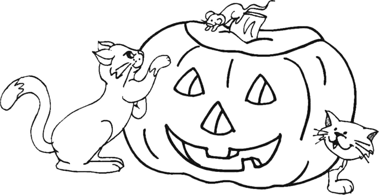 Raskrasil.com-Coloring-Pages-Halloween-Cat-30