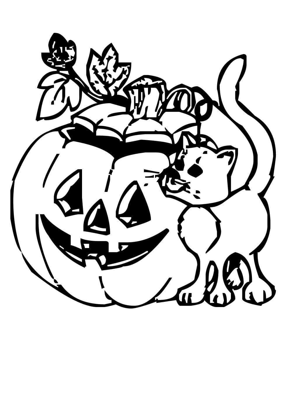 Raskrasil.com-Coloring-Pages-Halloween-Cat-44