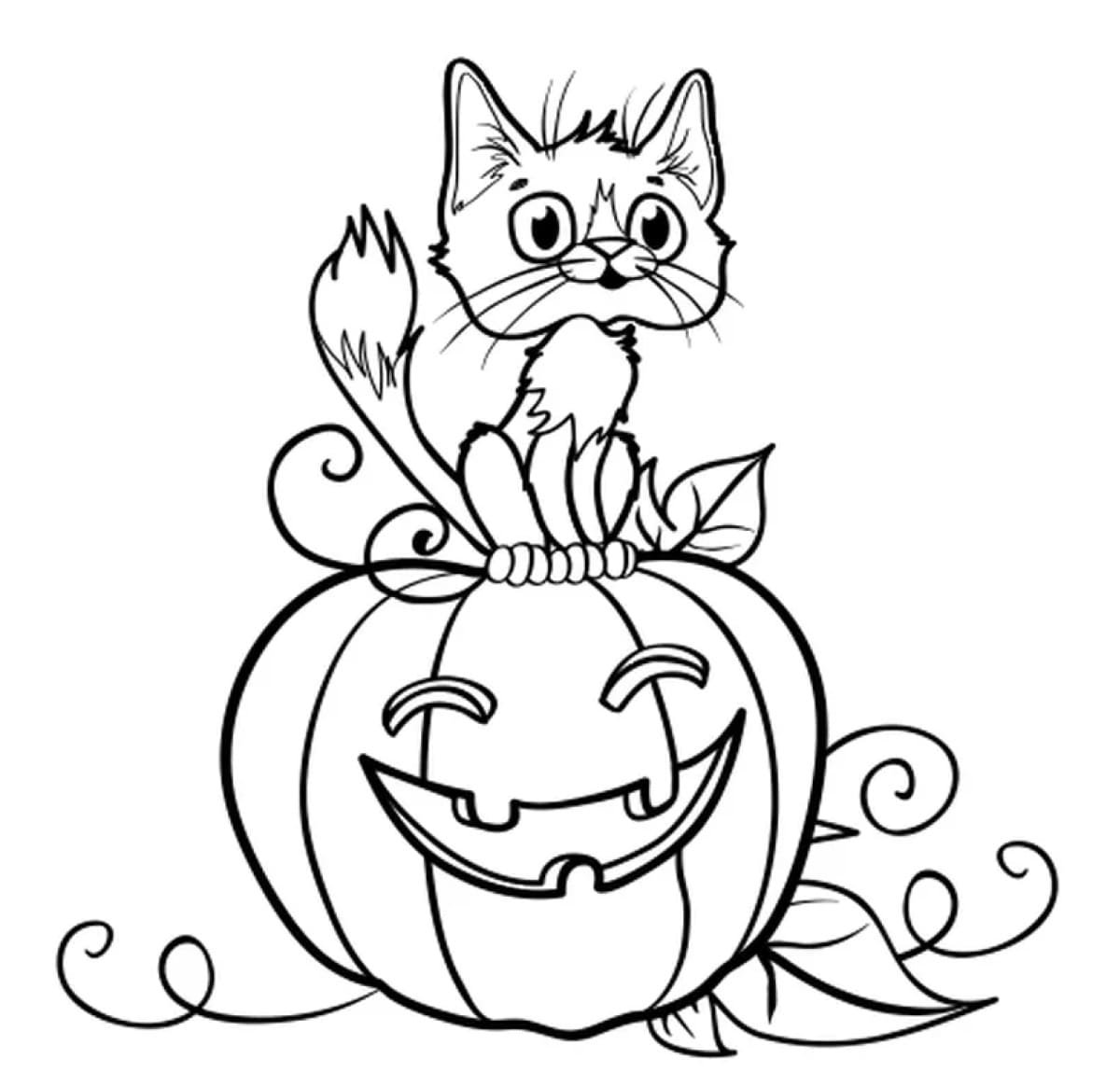 Raskrasil.com-Coloring-Pages-Halloween-Cat-45