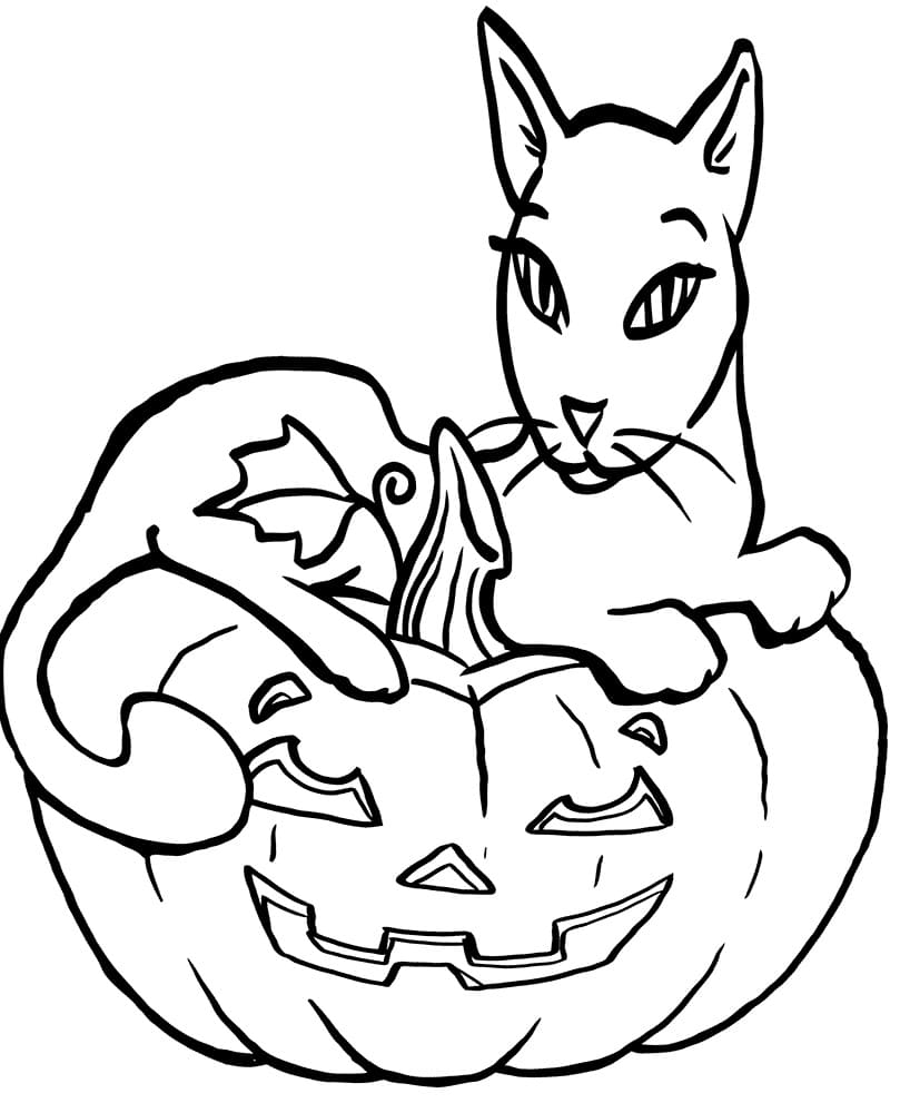 Raskrasil.com-Coloring-Pages-Halloween-Cat-66