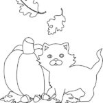 Raskrasil.com-Coloring-Pages-Halloween-Cat-69