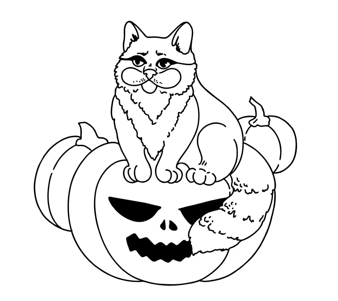 Raskrasil.com-Coloring-Pages-Halloween-Cat-70