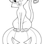 Raskrasil.com-Coloring-Pages-Halloween-Cat-88