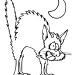 Raskrasil.com-Coloring-Pages-Halloween-Cat-95