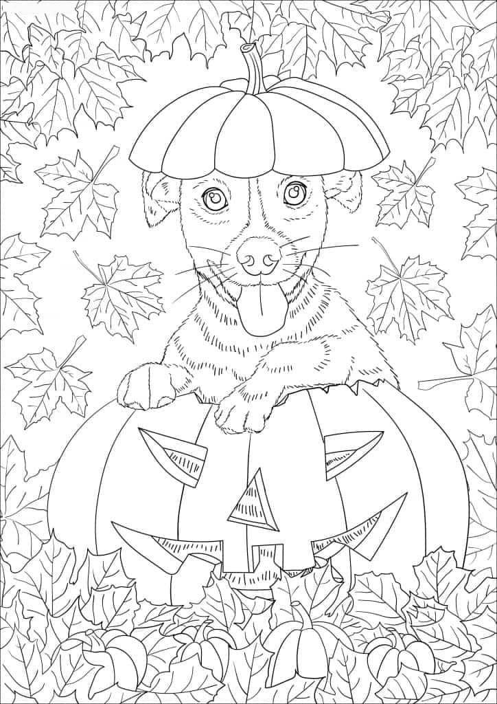 Raskrasil.com-Coloring-Pages-Halloween-Dog-2