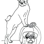 Raskrasil.com-Coloring-Pages-Halloween-Dog-24