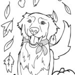 Raskrasil.com-Coloring-Pages-Halloween-Dog-38
