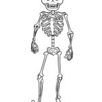 Raskrasil.com-Coloring-Pages-Skeleton-20