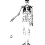 Raskrasil.com-Coloring-Pages-Skeleton-30