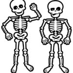 Raskrasil.com-Coloring-Pages-Skeleton-51