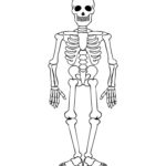 Raskrasil.com-Coloring-Pages-Skeleton-57