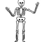 Raskrasil.com-Coloring-Pages-Skeleton-59