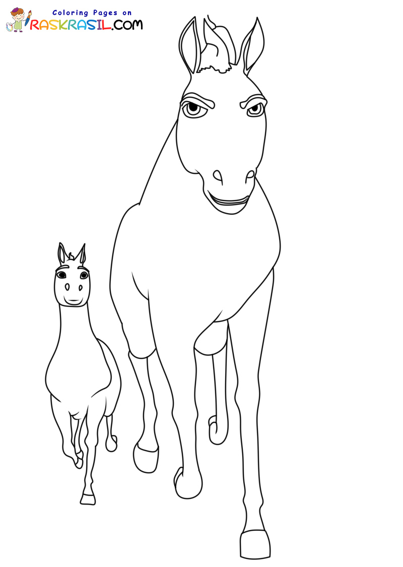 Raskrasil.com-Coloring-Pages-Spirit-5