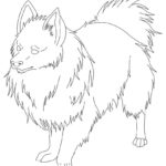 Raskrasil.com-Coloring-Pages-Spitz-1
