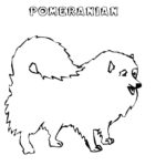 Raskrasil.com-Coloring-Pages-Spitz-18