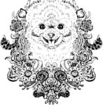 Raskrasil.com-Coloring-Pages-Spitz-19