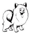 Raskrasil.com-Coloring-Pages-Spitz-22