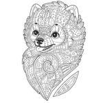 Previous Attachment