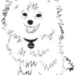 Raskrasil.com-Coloring-Pages-Spitz-26
