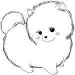 Raskrasil.com-Coloring-Pages-Spitz-3