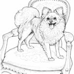 Raskrasil.com-Coloring-Pages-Spitz-6