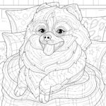 Raskrasil.com-Coloring-Pages-Spitz-7