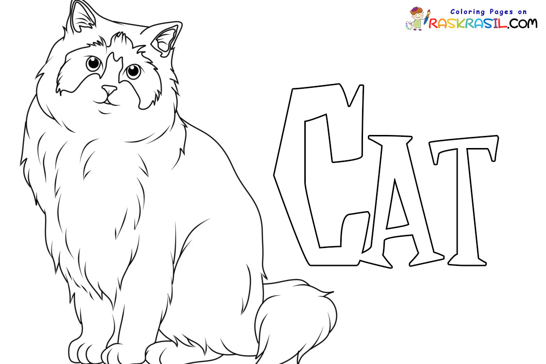 Raskrasil.com-New-Coloring-Pages-Cat-1