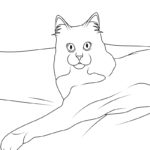 Raskrasil.com-New-Coloring-Pages-Cat-2