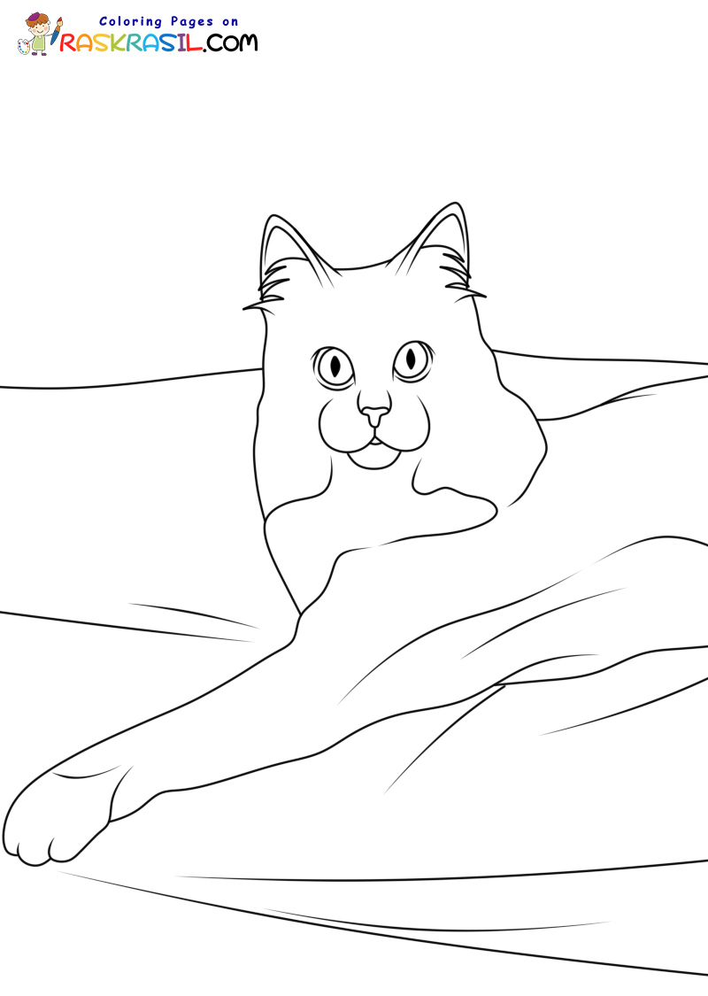 Raskrasil.com-New-Coloring-Pages-Cat-2