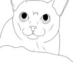 Raskrasil.com-New-Coloring-Pages-Cat-3