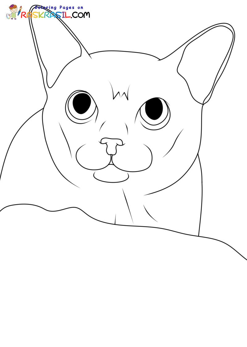 Raskrasil.com-New-Coloring-Pages-Cat-3
