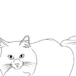 Raskrasil.com-New-Coloring-Pages-Cat-4