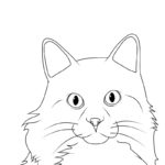 Raskrasil.com-New-Coloring-Pages-Cat-5