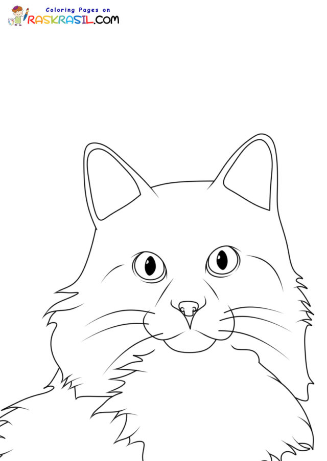 Desenho de Kawaii gatinho sentado na caixa para colorir