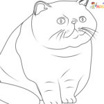 Raskrasil.com-New-Coloring-Pages-Cat-7