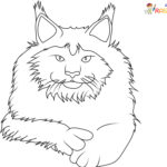 Raskrasil.com-New-Coloring-Pages-Cat-8