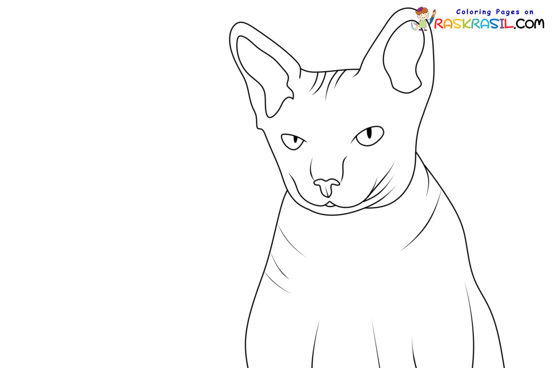 Raskrasil.com-New-Coloring-Pages-Cat-9