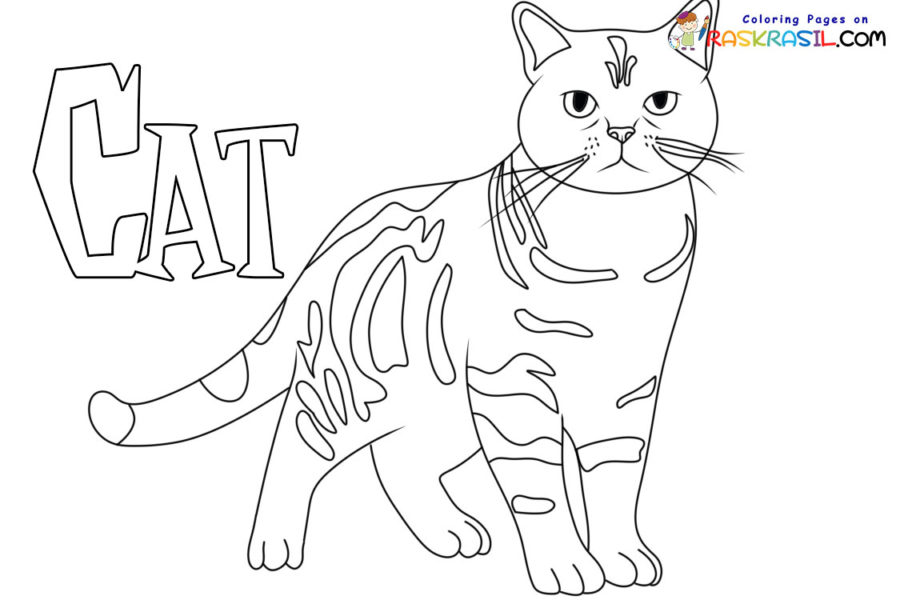 Gato animal desenho animado kawaii anime bonito para colorir