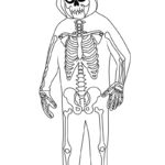 Raskrasil.com-New-Coloring-Pages-Skeleton-1