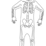 Raskrasil.com-New-Coloring-Pages-Skeleton-2