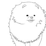 Raskrasil.com-New-Coloring-Pages-Spitz-2