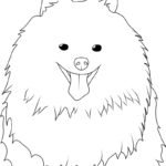 Raskrasil.com-New-Coloring-Pages-Spitz-3