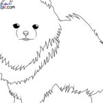 Raskrasil.com-New-Coloring-Pages-Spitz-5