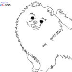 Raskrasil.com-New-Coloring-Pages-Spitz-8