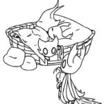 Raskrasil.com-Coloring-Pages-Hollow-Knight-13