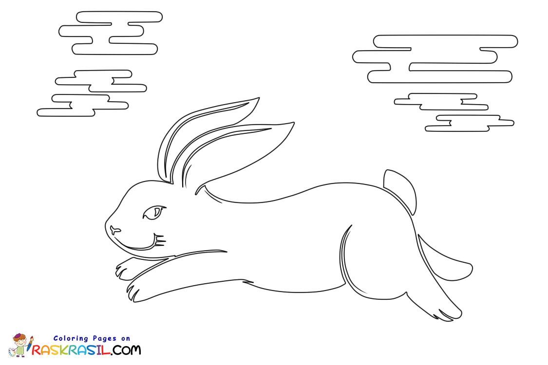 Raskrasil.com-Coloring-Pages-Rabbit-10