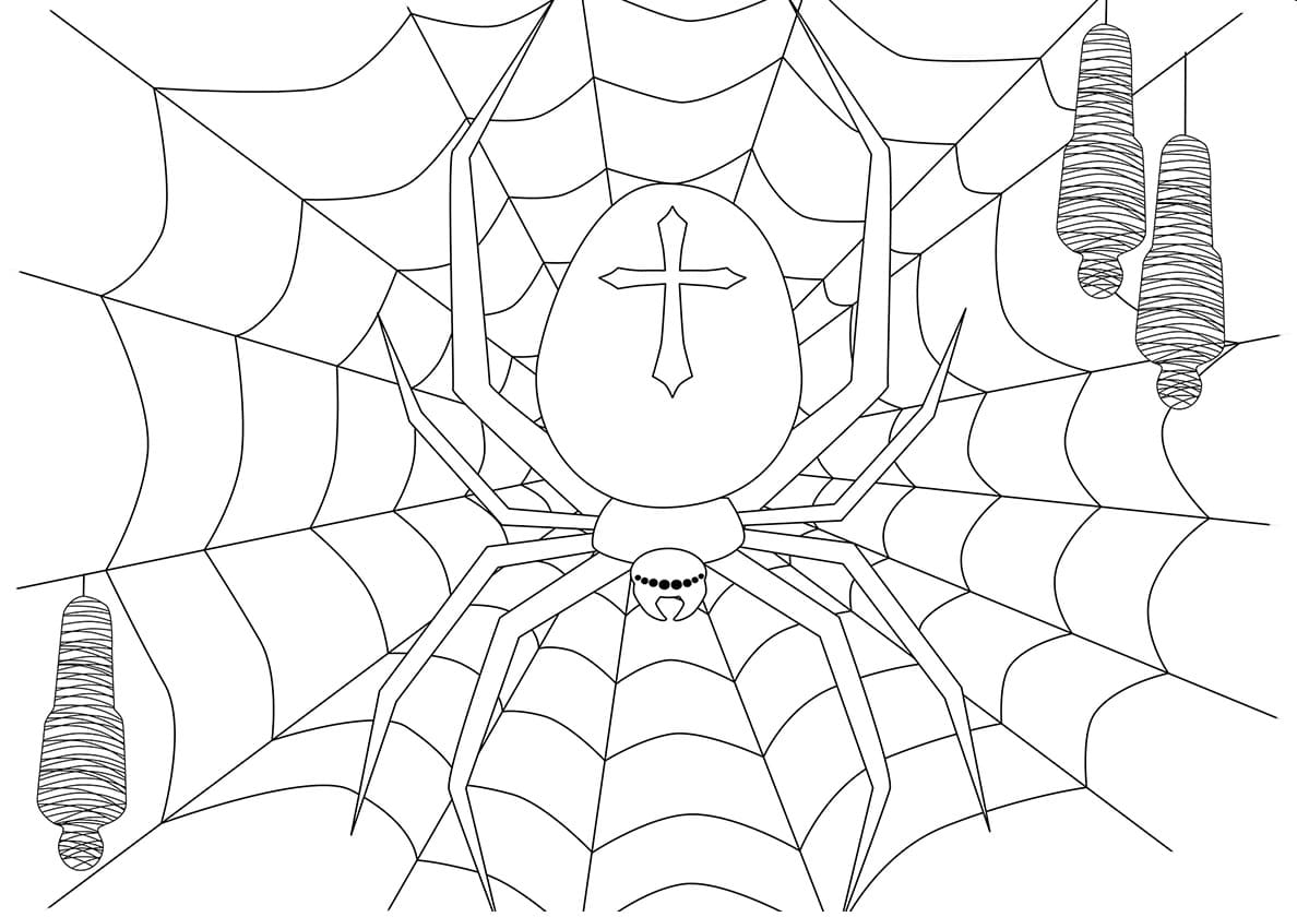 Raskrasil.com-Coloring-Pages-Spider-100
