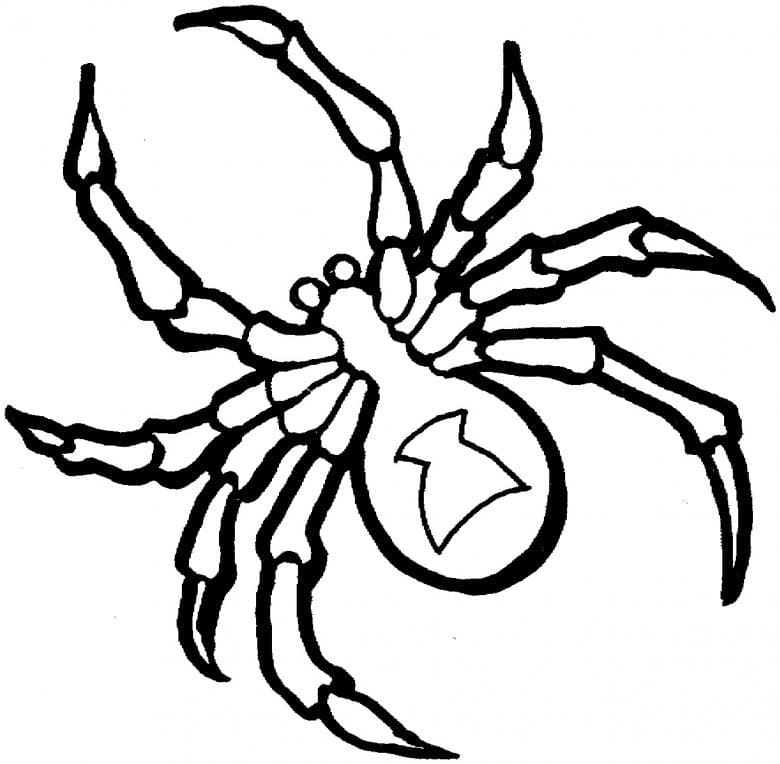 Raskrasil.com-Coloring-Pages-Spider-103