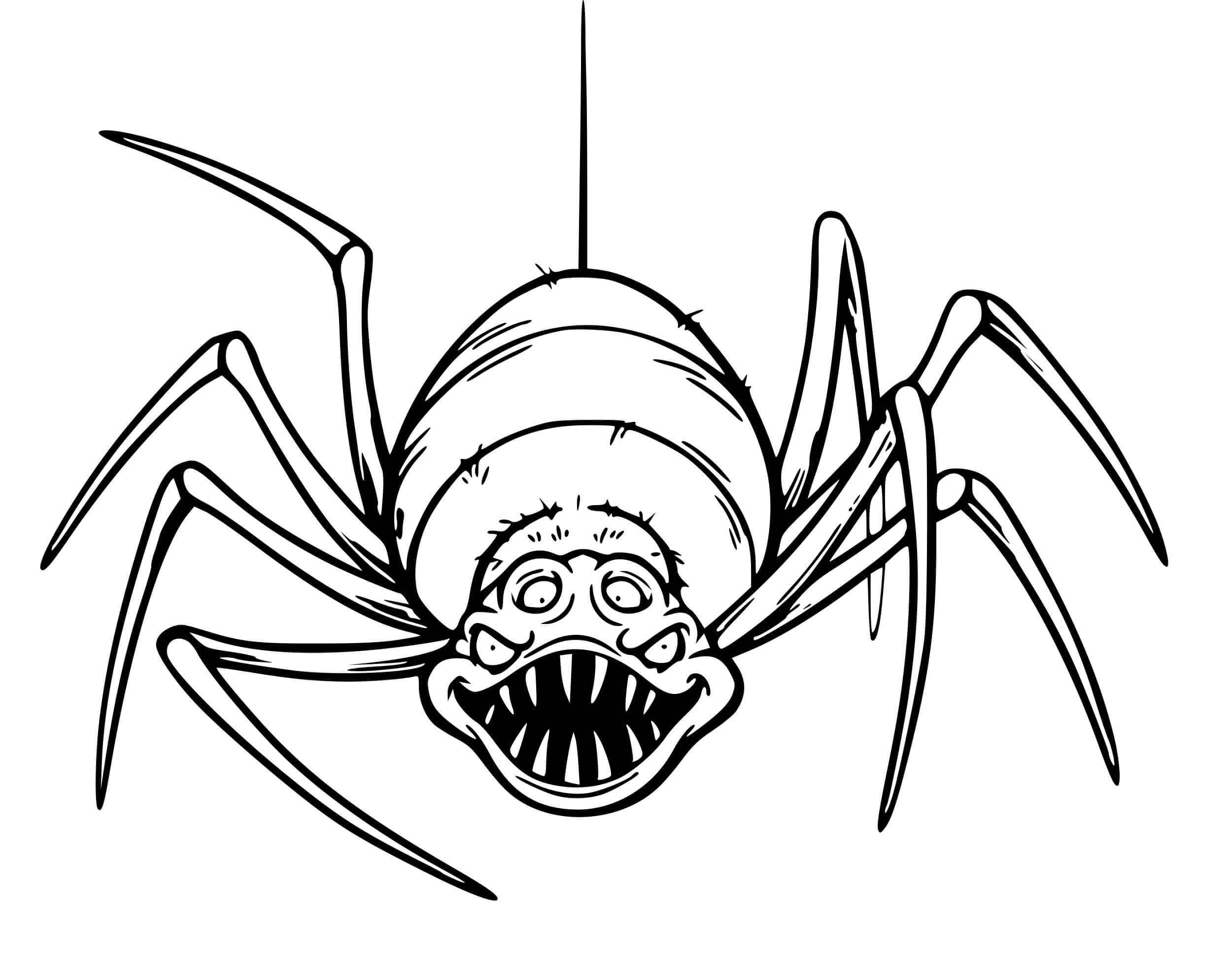 Raskrasil.com-Coloring-Pages-Spider-107